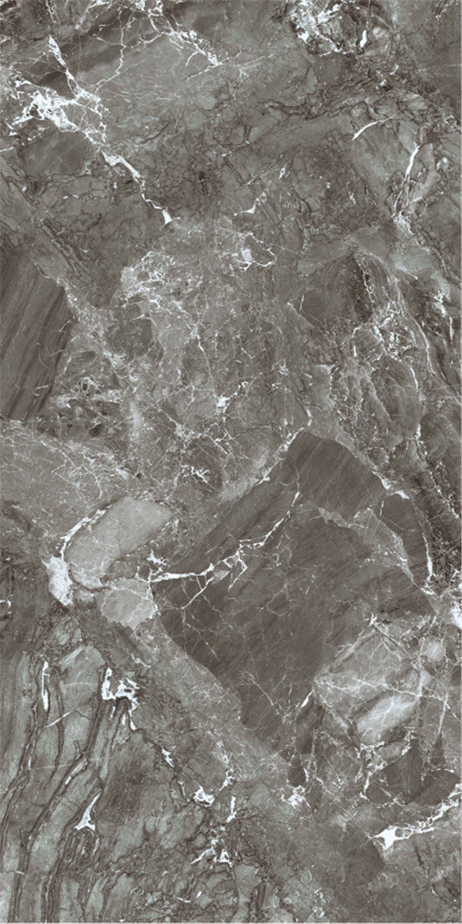 9001cc金沙以诚为本(中国)有限公司官网